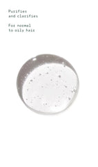 rosemary mint purifying shampoo